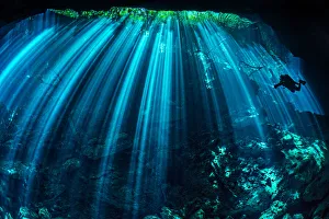 Diver exploring a freshwater cenote (or limestone sinkhole Diver exploring a freshwater cenote (or limestone sinkhole