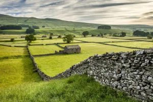 Dry-stone walls and barns in Wensleydale, Yorkshire Dales National Park, North Yorkshire Dry-stone walls and barns in Wensleydale, Yorkshire Dales National Park, North Yorkshire