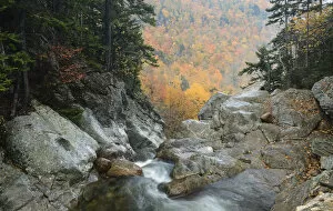 Images Dated 5th October 2012: Ellis River high in White Mountain National Forest. New Hampshire, October 2012