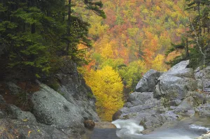 Ellis River, White Mountains, New Hampshire, USAm October 2007 Ellis River, White Mountains, New Hampshire, USAm October 2007