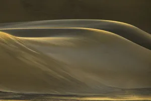 Fine sand dunes smoothed by gentle winds at sunset, in the coastal desert of Dorob Fine sand dunes smoothed by gentle winds at sunset, in the coastal desert of Dorob