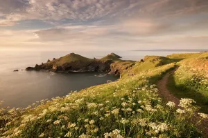 Devon Prints: Print of The Rumps at Pentire Head, Polzeath, Cornwall