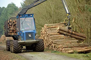 Plantations Gallery: Forestry workers with forwarder machine, removing felled timber from Dunwich Forest