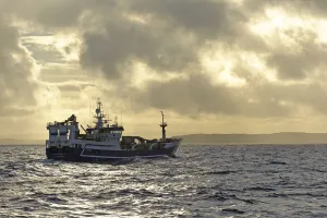 Fraserburgh pelagic trawler Forever Grateful fishing for Atlantic mackerel Fraserburgh pelagic trawler Forever Grateful fishing for Atlantic mackerel