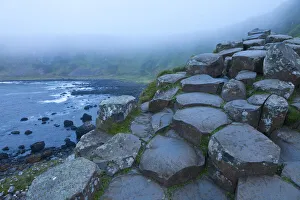 Giant's Causeway, UNESCO World Heritage Site in mist, County Antrim, Northern Ireland Giant's Causeway, UNESCO World Heritage Site in mist, County Antrim, Northern Ireland