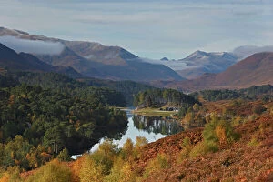 Images Dated 16th October 2012: Glen Affric in autumn, Highlands, Scotland, UK, October 2012