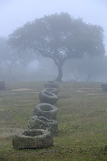 Granite feeding troughs for bulls in the fog in Sierra de Andujar Natural Park, Jaen Granite feeding troughs for bulls in the fog in Sierra de Andujar Natural Park, Jaen