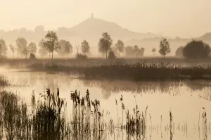Glastonbury Tor Print at Dawn