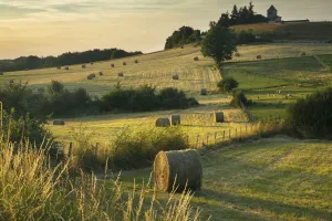 Expansive Gallery: Hay bales in the fields near Beaumont du Perigord, Pays de Bergerac, Dordogne, Aquitaine