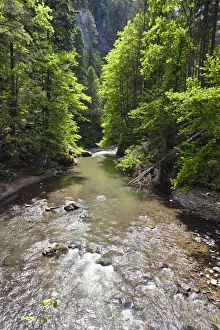 Hornad River flowing through the Hornad Canyon, Slovak Paradise National Park, Slovensky Raj Hornad River flowing through the Hornad Canyon, Slovak Paradise National Park, Slovensky Raj