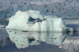 Ice in front of the Smeerenburg glacier, Smeerenburg fjord, Svalbard, Norway, July 2008 Ice in front of the Smeerenburg glacier, Smeerenburg fjord, Svalbard, Norway, July 2008
