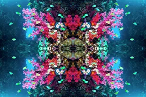 Kaleidoscopic image of Blue-green chromis (Chromis atripectoralis) Coral reef landscape Kaleidoscopic image of Blue-green chromis (Chromis atripectoralis) Coral reef landscape