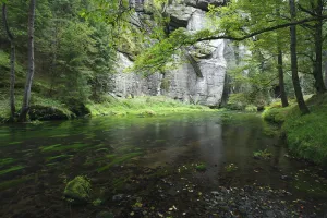 Krinice River flowing past rock face in wood, Dlouhy Dul, Ceske Svycarsko / Bohemian Krinice River flowing past rock face in wood, Dlouhy Dul, Ceske Svycarsko / Bohemian