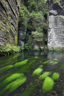 Krinice River flowing past rock faces almost at right angles, Dlouhy Dul, Ceske Svycarsko Krinice River flowing past rock faces almost at right angles, Dlouhy Dul, Ceske Svycarsko