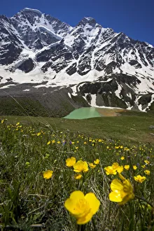 Lake Donguzorun with Mount Donguzorun mountains behind, meadow flowers (Ranunculus sp) Caucasus Lake Donguzorun with Mount Donguzorun mountains behind, meadow flowers (Ranunculus sp) Caucasus