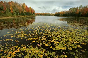 Images Dated 11th June 2008: Lake and mixed woodland in autumn, Upper Peninsula, Michigan, USA