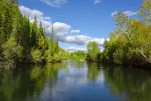 Boreal Forest Gallery: Landscape of the upper reaches of the Lena River, Baikalo-Lensky Reserve, Siberia