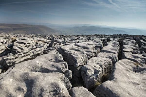 Images Dated 20th February 2017: A Limestone Pavement with well developed Clints (blocks) and Grykes (gaps)