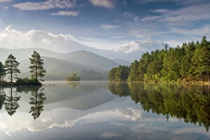 Forest Collection: Loch an Eilein with wooded edges in morning sun, Cairngorms National Park, Scotland