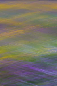 Long exposure with panning of field of wild flowers in traditional hay meadow Long exposure with panning of field of wild flowers in traditional hay meadow