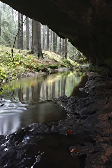 Mezni Potok / Stream flowing underneath a rock, Rynartice, Ceske Svycarsko / Bohemian Mezni Potok / Stream flowing underneath a rock, Rynartice, Ceske Svycarsko / Bohemian