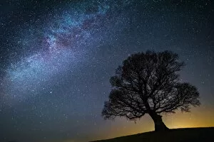 Images Dated 23rd July 2019: Milky Way in night sky with silhouette of tree, Brecon Beacons National Park, an