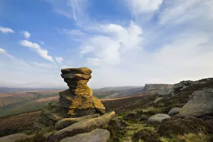 A millstone grit formation known as the Salt Cellar on Derwent Edge, with Common Heather A millstone grit formation known as the Salt Cellar on Derwent Edge, with Common Heather