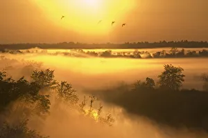 Mist over the Kasari river at sunrise, Kloostri, Matsalu National Park, Estonia, May 2009 Mist over the Kasari river at sunrise, Kloostri, Matsalu National Park, Estonia, May 2009