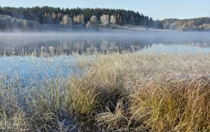 Images Dated 3rd February 2016: Misty lake on a cold autumn morning, Jyvaskyla, Central Finland, October 2015