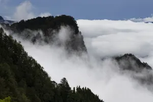 Misty mountains, Alishan National Recreational Forest, Taiwan Misty mountains, Alishan National Recreational Forest, Taiwan