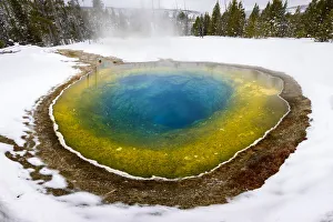 Morning Glory thermal pool surrounded by snow, coniferous forest in background. Near Morning Glory thermal pool surrounded by snow, coniferous forest in background. Near
