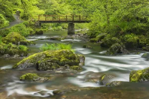 Mossy boulders and wooden bridge over East Lyn River. Exmoor National Park, Devon, UK. May Mossy boulders and wooden bridge over East Lyn River. Exmoor National Park, Devon, UK. May