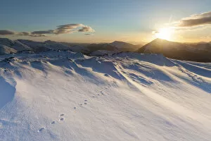Mountain hare footprints in snow on mountain top in Glen Coe, Lochaber, Scotland, UK