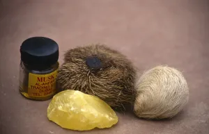 Musk deer products {Moschus sp} from left to right back: Perfume, real musk pod, fake pod; front Musk deer products {Moschus sp} from left to right back: Perfume, real musk pod, fake pod; front