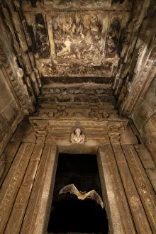 Naked-rumped tomb bats (Taphazhopus theobaldi), flying out of Garbhgriha stone carved Naked-rumped tomb bats (Taphazhopus theobaldi), flying out of Garbhgriha stone carved