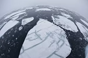 Images Dated 12th September 2009: Pack ice on sea, Svalbard, Norway, August 2009
