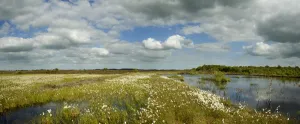 Panoramic view of Ballynahone Bog at dawn, County Antrim, Northern Ireland, UK Panoramic view of Ballynahone Bog at dawn, County Antrim, Northern Ireland, UK