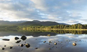 Pine forest and mountains reflected in Loch Morlich, Rothiemurchus, Cairngorms National Park Pine forest and mountains reflected in Loch Morlich, Rothiemurchus, Cairngorms National Park