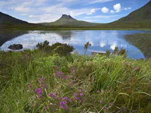 Pool and Stac Pollaidh, Coigach / Assynt SWT, Sutherland, Highlands, Scotland, UK Pool and Stac Pollaidh, Coigach / Assynt SWT, Sutherland, Highlands, Scotland, UK