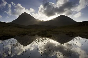 Images Dated 5th October 2008: Quinag (Sail Ghorm and Sail Gharbh) and moorland pool, Assynt, Sutherland, NW Scotland, UK, October