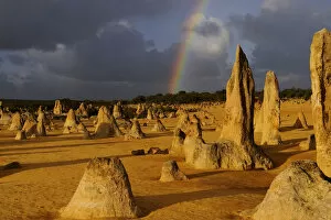 Images Dated 10th July 2009: Rainbow over the Limestone formations in the Pinnacles desert, Nambung National Park