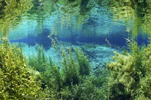 Protected Area Gallery: Rainbow river, Rainbow Springs State Park, Florida, USA