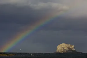 Rainbow and storm clouds over Bass Rock in the distance Rainbow and storm clouds over Bass Rock in the distance