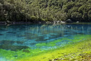 Images Dated 23rd February 2013: Rangimairewhenua or Blue Lake, Nelson Lakes National Park, Southern Alps, New Zealand