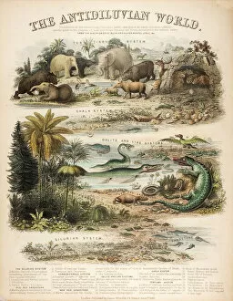 Iguanodon Collection: A rare British broadsheet illustration with contemporary hand colouring