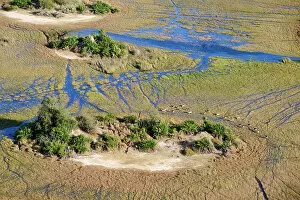 Okavango Delta Gallery: Red Lechwe (Kobus leche) herd crossing swamp surrounding a small island, Okavango Delta, Botswana