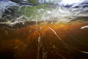 Red water caused by tannins in peat bog flowing out of the Etang de la Gruere, peat bog Red water caused by tannins in peat bog flowing out of the Etang de la Gruere, peat bog