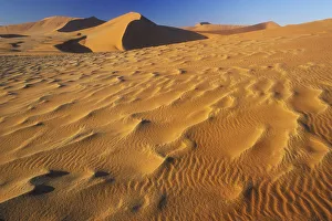 Ripples in the sand dunes, Namib-Naukluft NP, Namib desert, Namibia Ripples in the sand dunes, Namib-Naukluft NP, Namib desert, Namibia