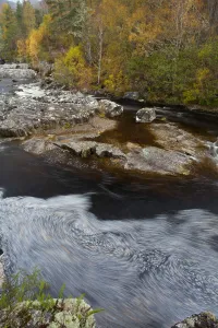 River Affric flowing through Silver birch and Scots pine woodland in autumn, Glen Affric River Affric flowing through Silver birch and Scots pine woodland in autumn, Glen Affric