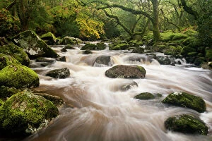 Uplands Gallery: River Plym flowing fast through Dewerstone Wood, Shaugh Prior, Dartmoor National Park
